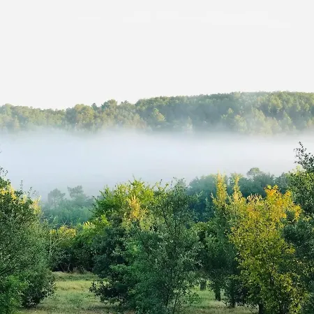 Les Cedres Du Linard, D'hotes Near Lascaux, Montignac, Sarlat-la-caneda, Dordogne