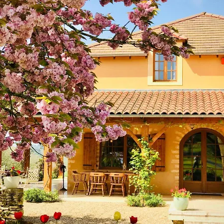 Les Cedres Du Linard, D'hotes Near Lascaux, Montignac, Sarlat-la-caneda, Dordogne Bed & Breakfast La Chapelle-Aubareil