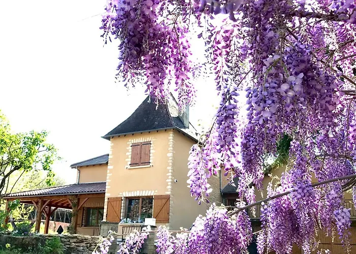 Bed & Breakfast Les Cedres Du Linard, D'hotes Near Lascaux, Montignac, Sarlat-la-caneda, Dordogne
