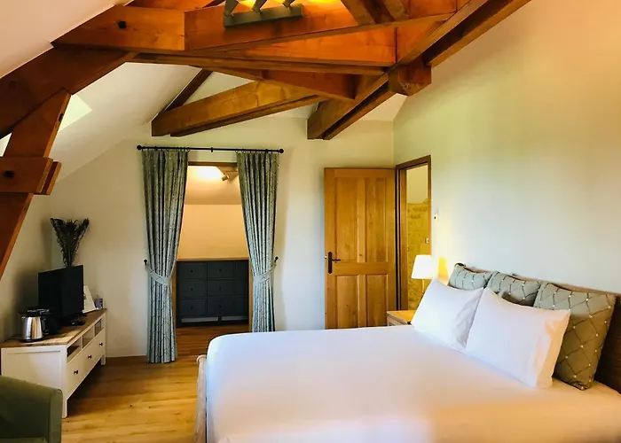 Les Cedres Du Linard, D'hotes Near Lascaux, Montignac, Sarlat-la-caneda, Dordogne